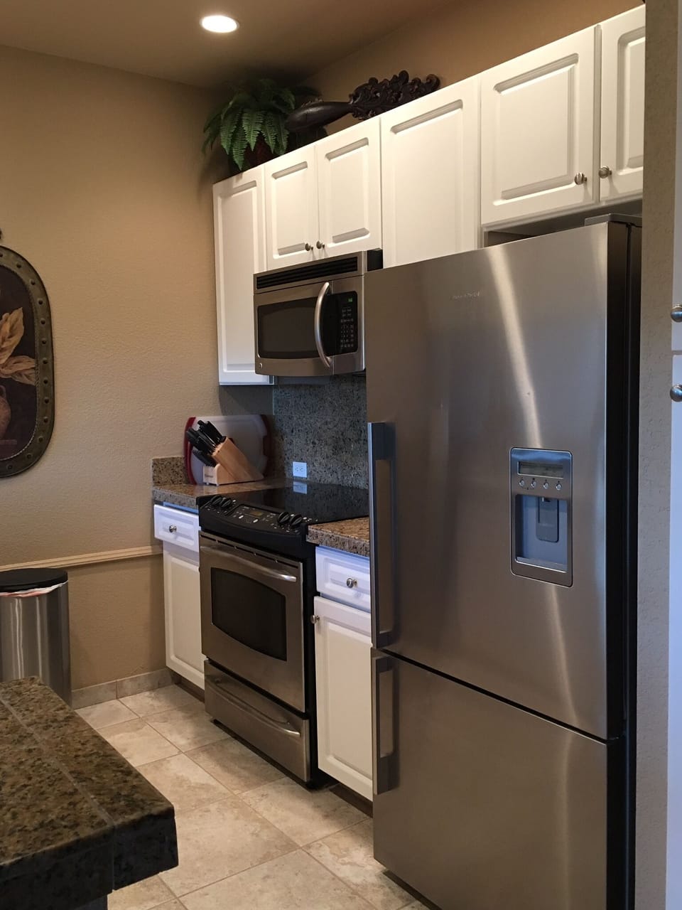Stainless steel appliances, with water and ice in door