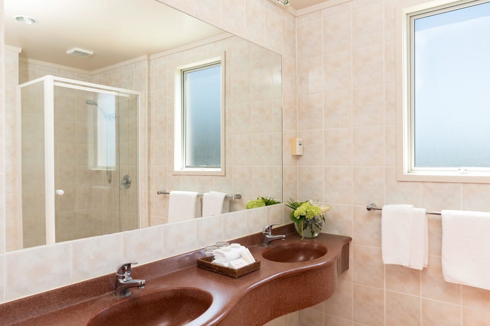 Free toiletries, hair dryer, towels