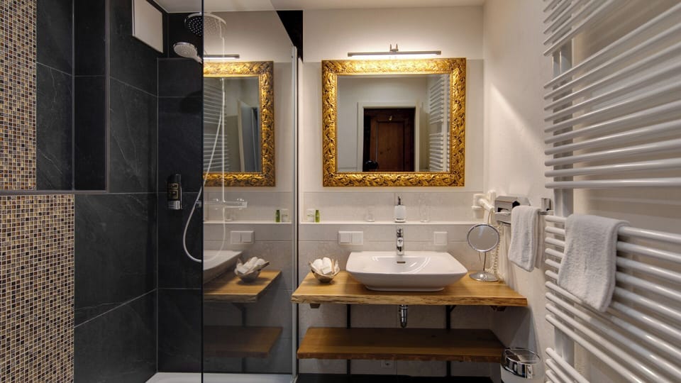 Shower, hair dryer, bathrobes, towels