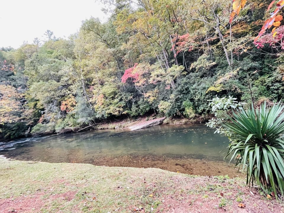 Beautiful Fall day in the mountains — colorful leaves floating in the water 