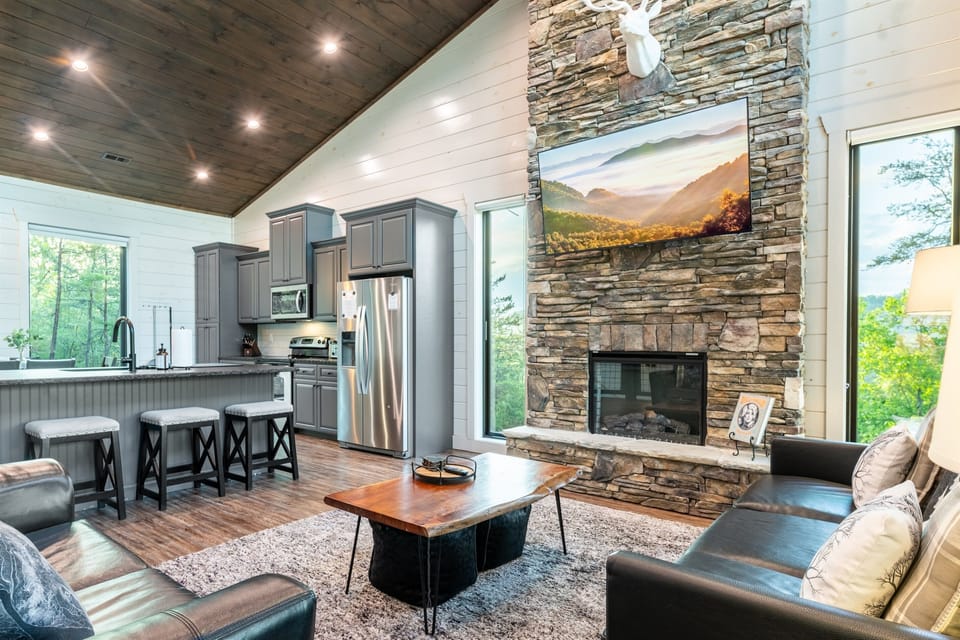 King sized pull out couch in living area