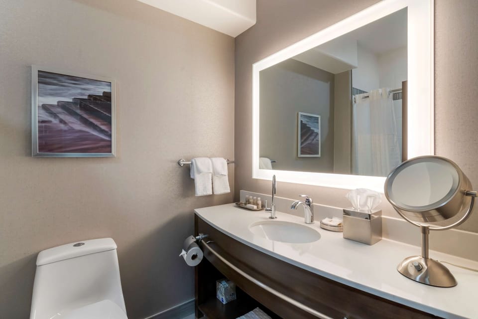 Combined shower/tub, free toiletries, hair dryer, towels
