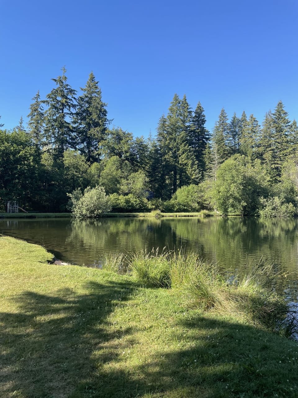 Lake life, no motor boats allowed