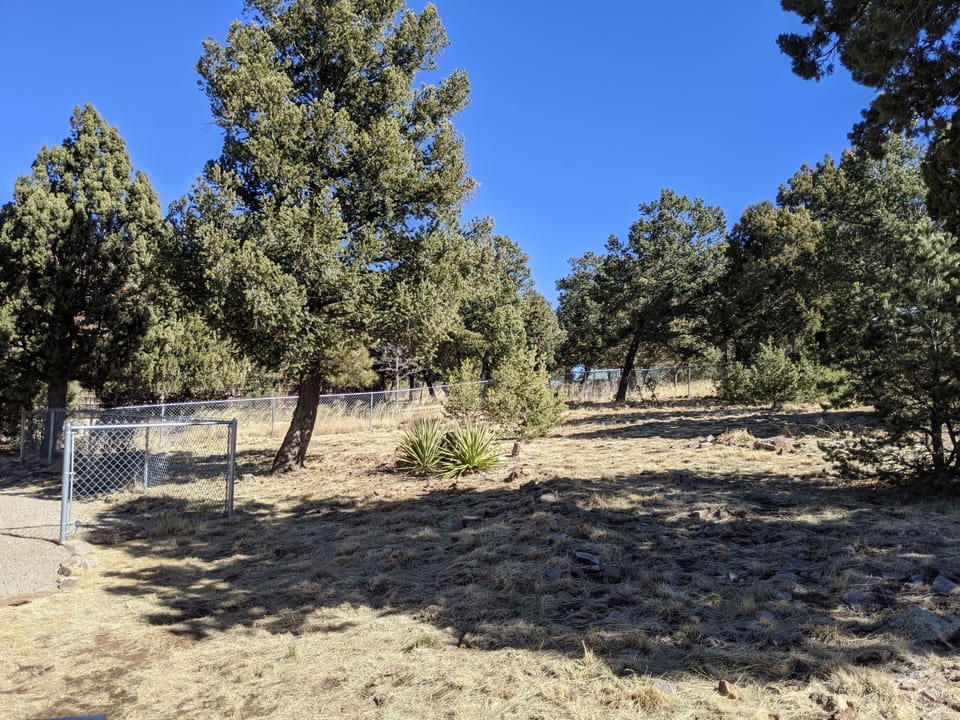 Fully fenced-in backyard for your fur babies