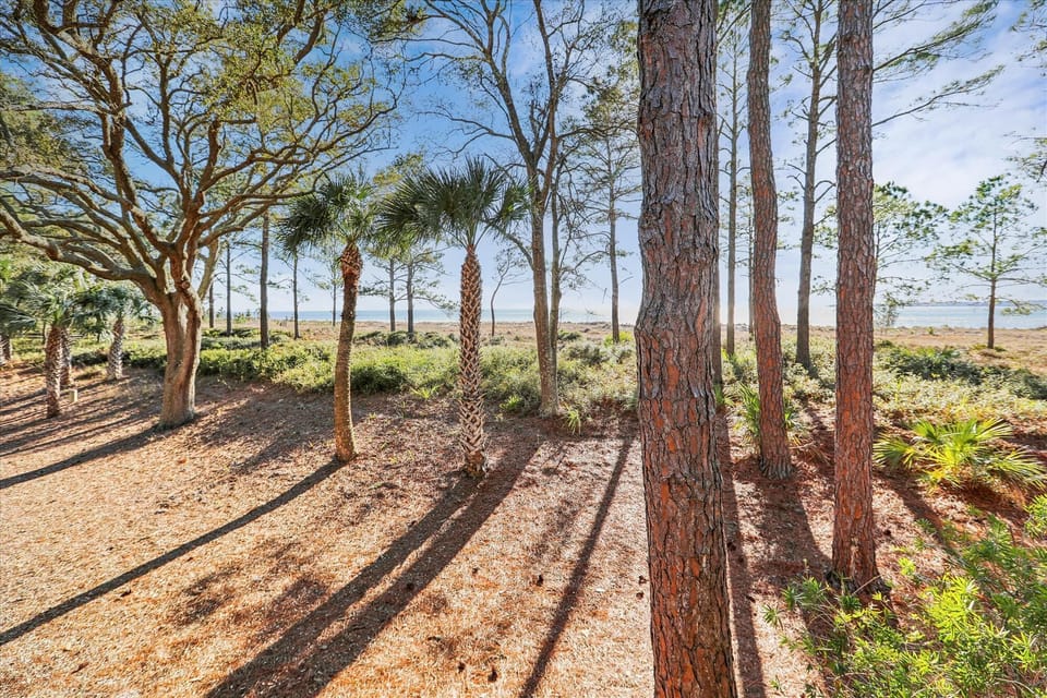 Views from Master Bedroom at 1415 South Beach Villa