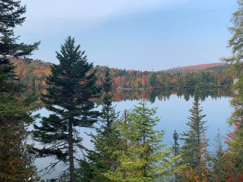 View of the lake in the fall