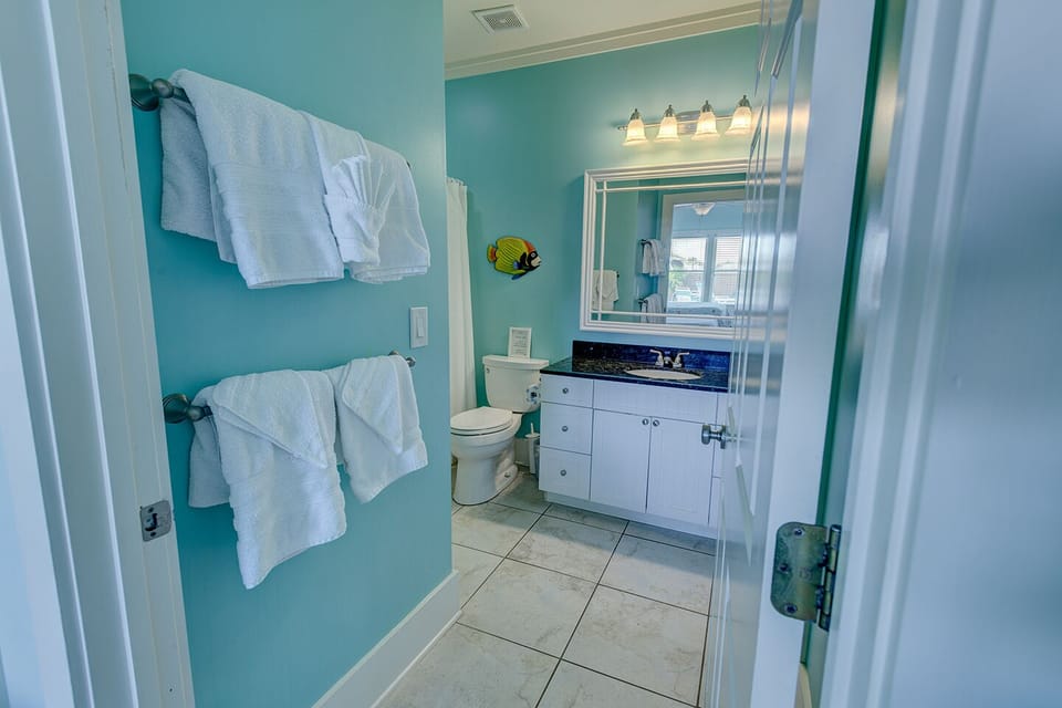 Lower Level Bath pic 2