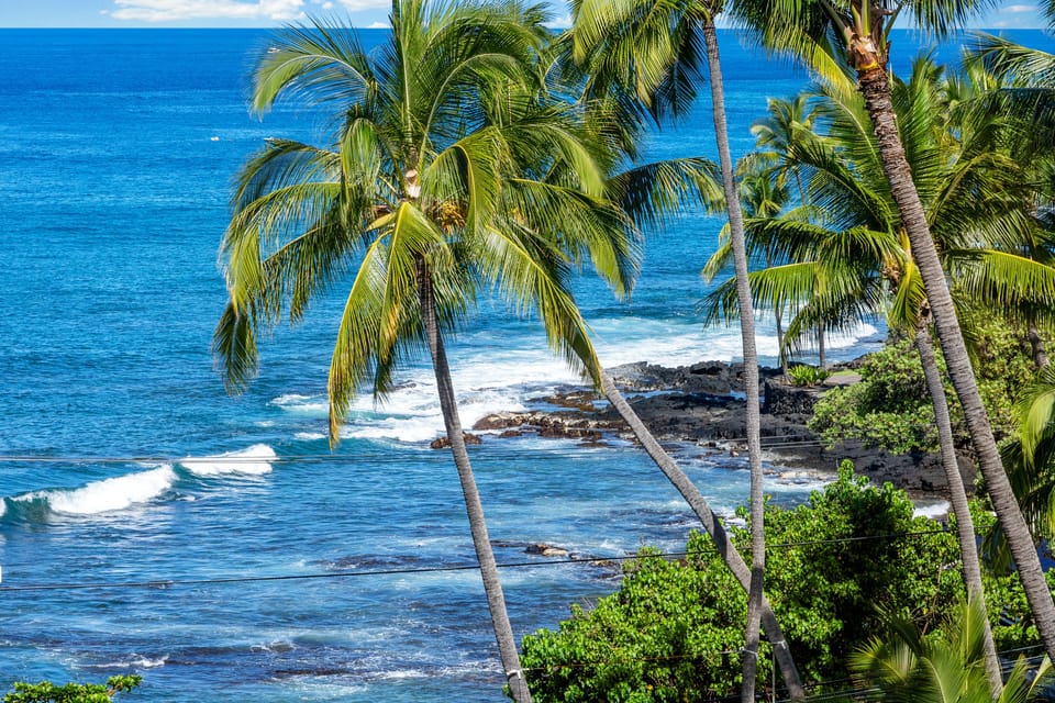 View from the lanai