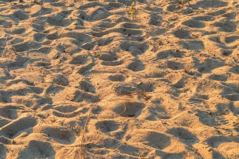 Immediate Surroundings [summer] (<1 km)