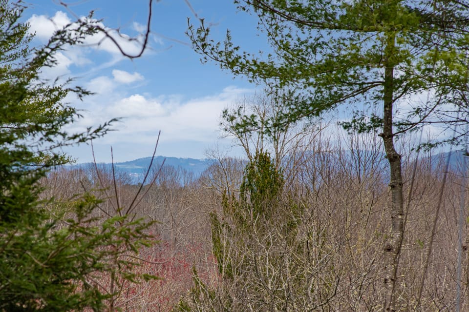 Enjoy long-range mountain views from the home during the winter.