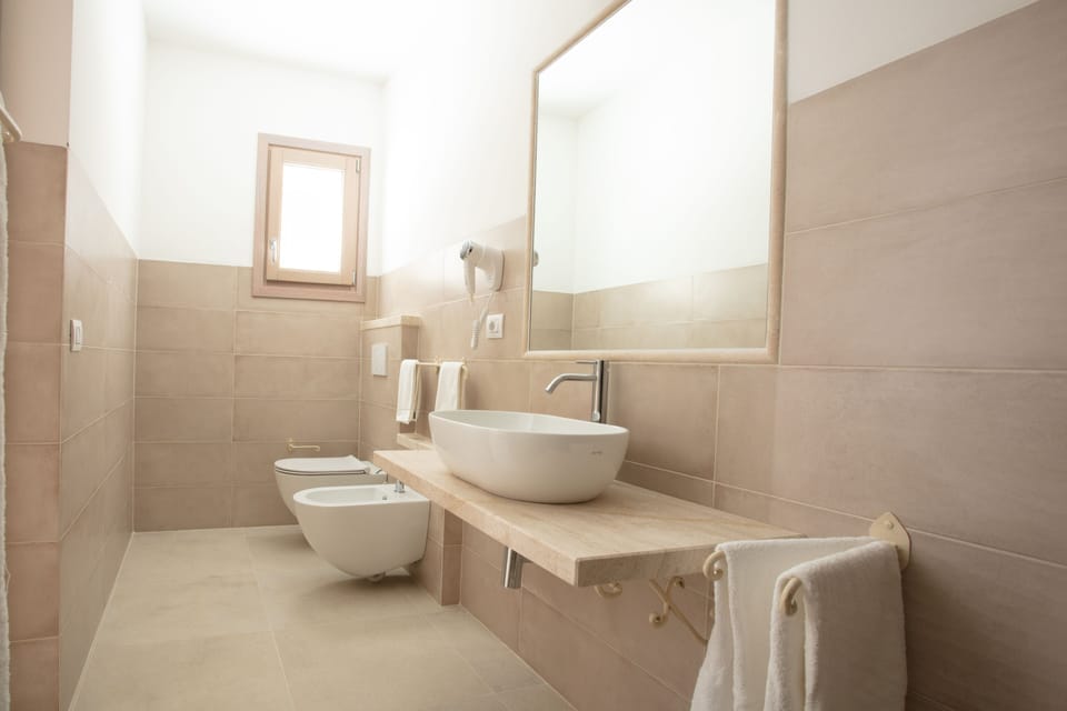 Shower, hair dryer, bidet, towels