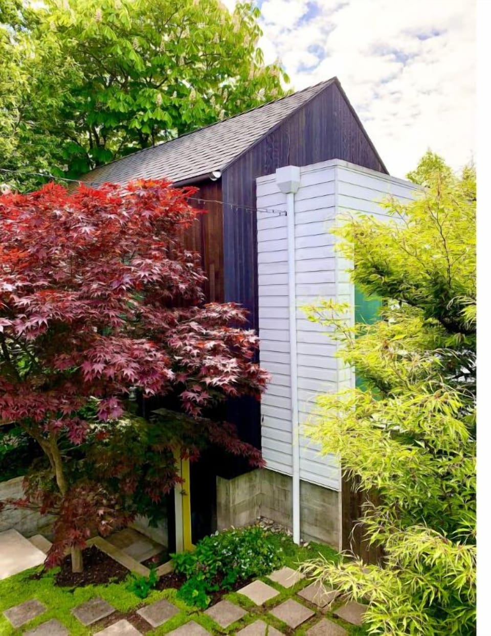 back yard garden