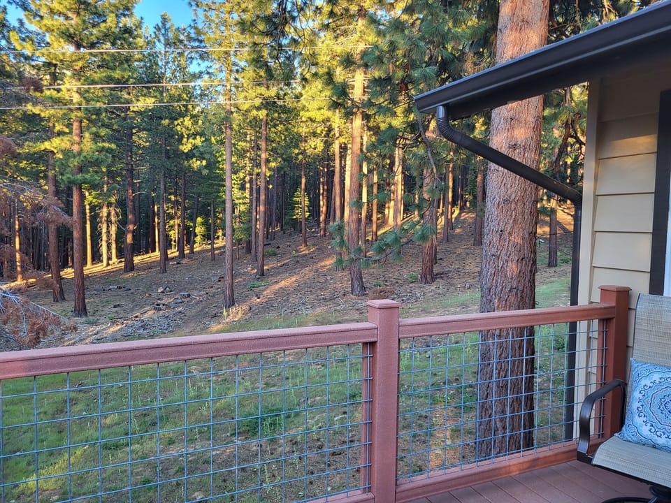 View from the back deck