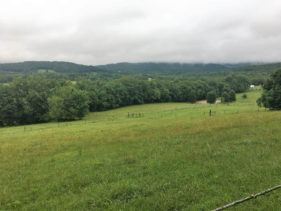 View from rear of property looking forward