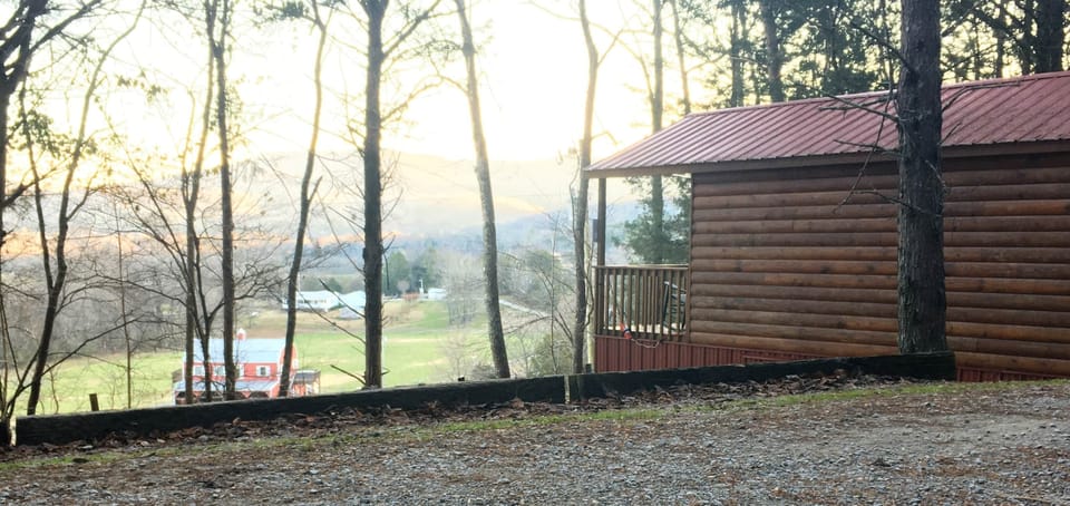 View from the Doghouse