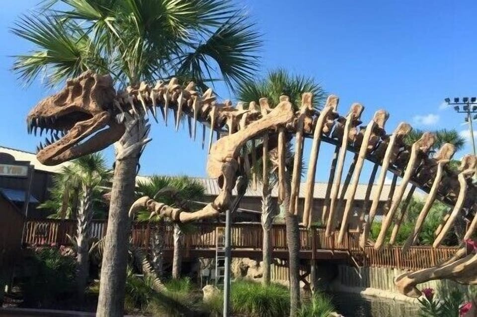 Nearby Destin Family Fun and Activities recommended by Sunset Resort Rentals