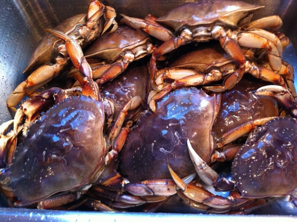 This is the place to catch crab when in season!
