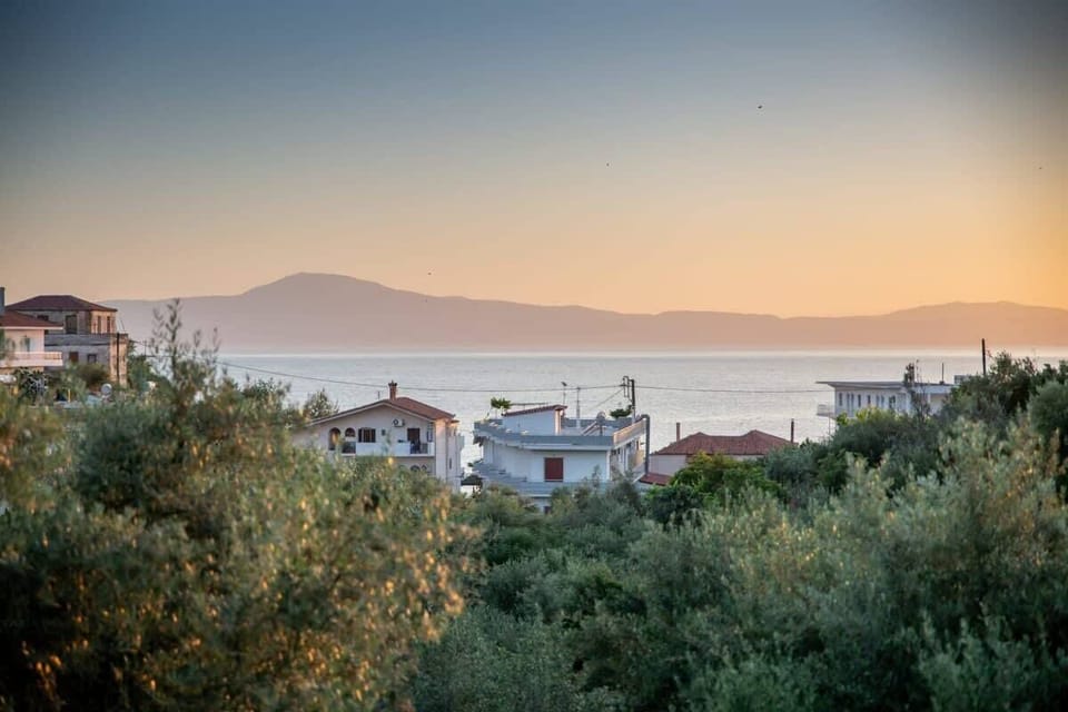 View from the house