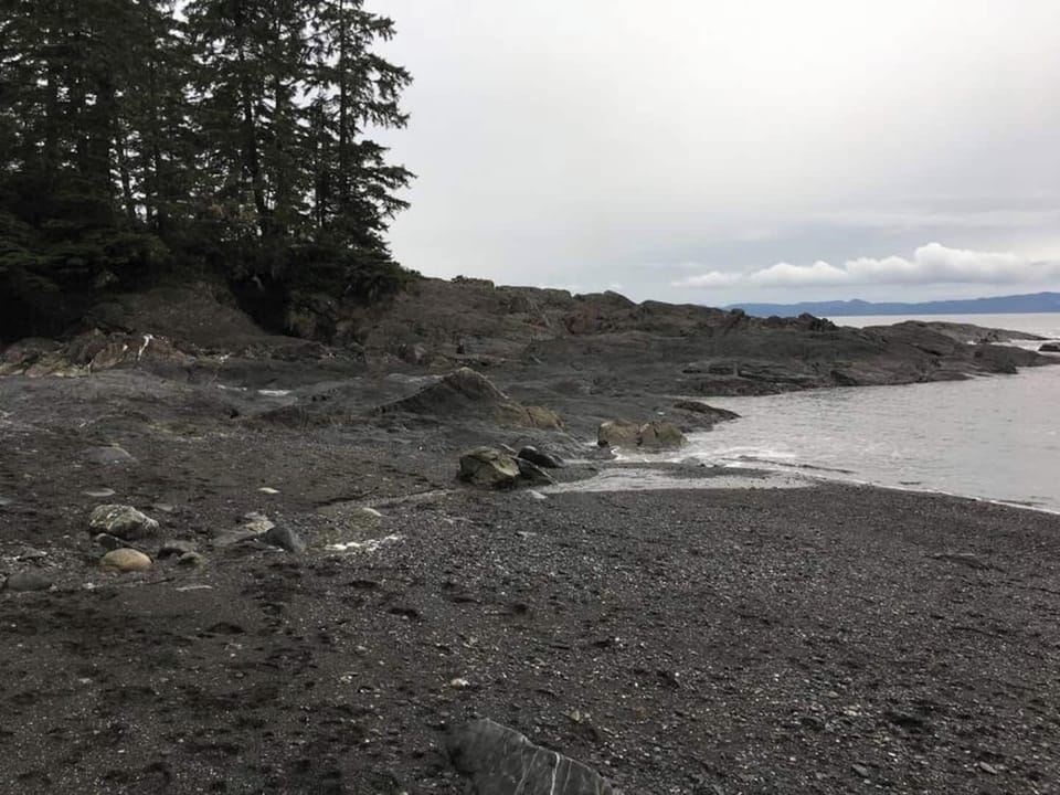 Botanical Beach 1