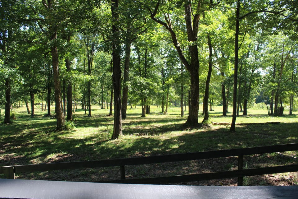 Pasture view from back deck.