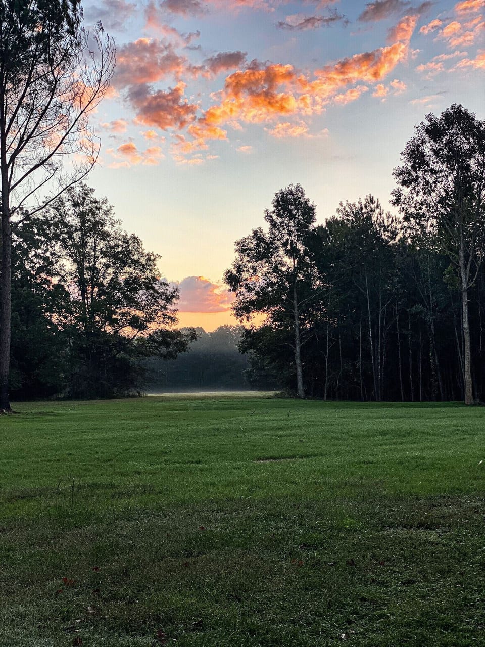Back Porch View