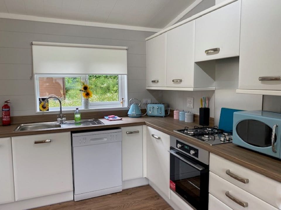 Standard Apartment, Private Bathroom | Private kitchen