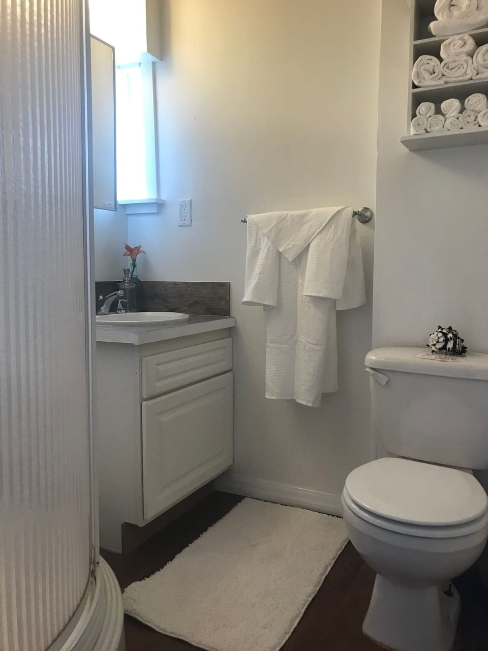 The second bathroom with shower.
