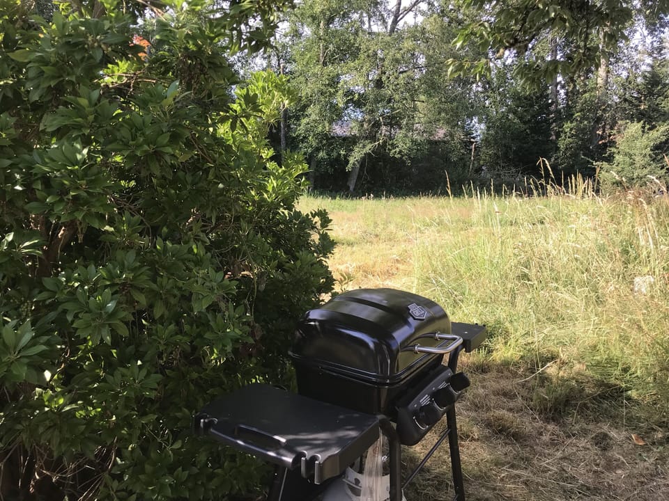 Propane barbecue.
