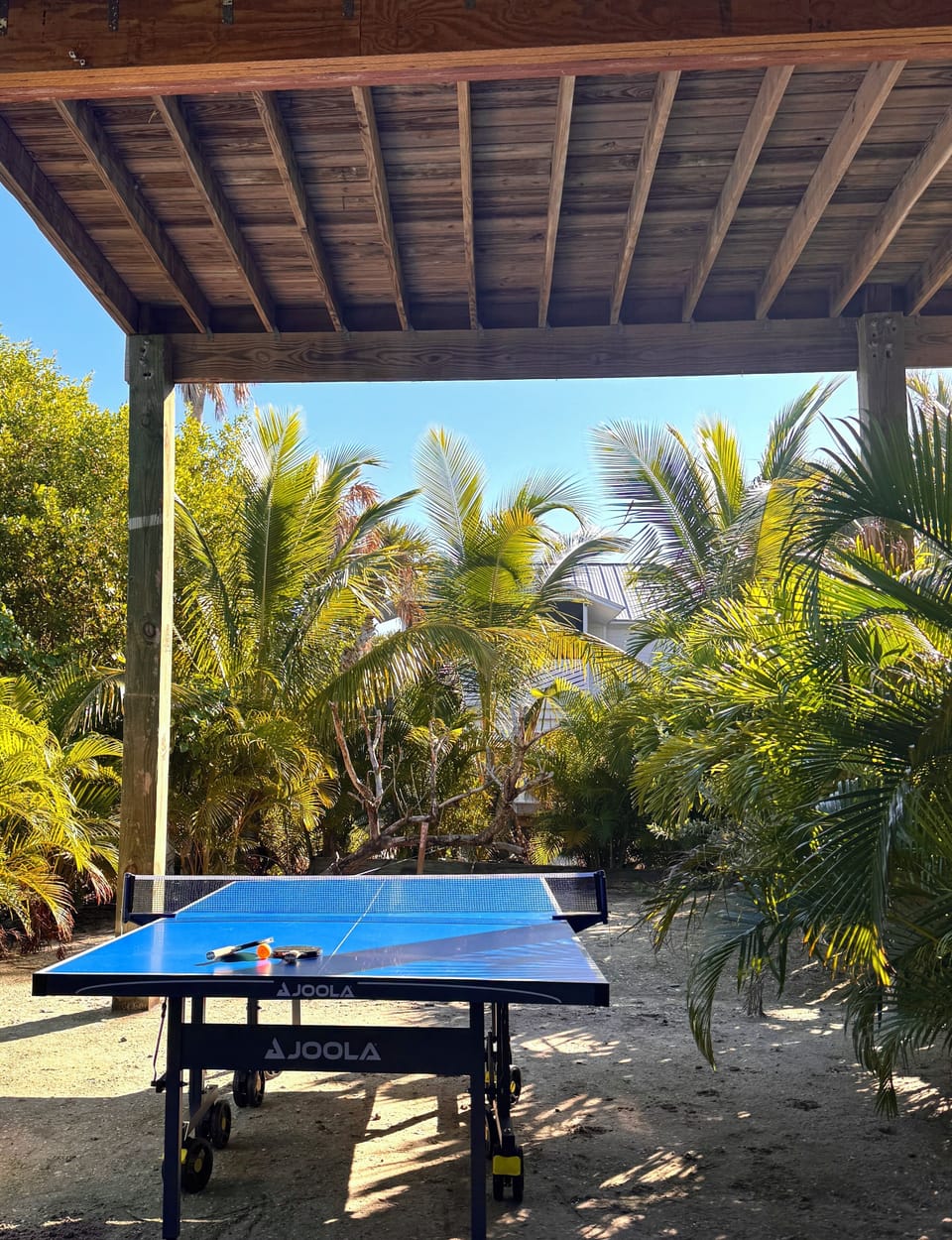 outdoor ping pong 