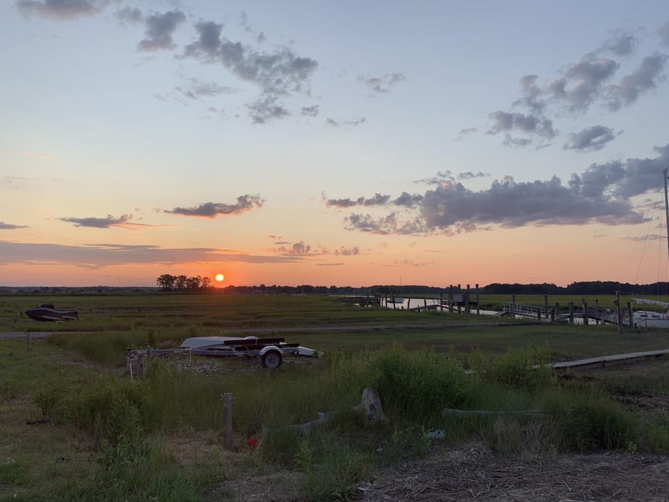 Marsh views 