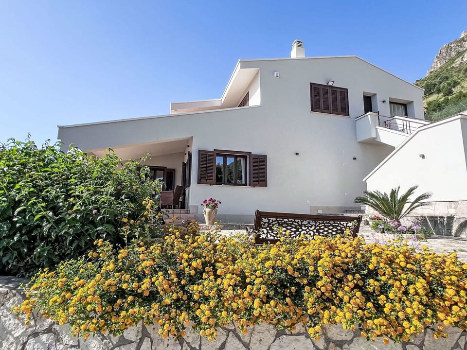 Sky, Plant, Building, Property, Window, Flower, House, Tree, Vegetation, Land Lot
