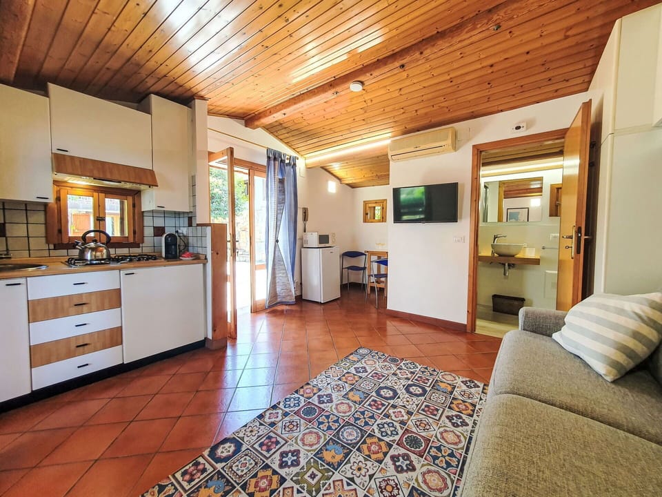 Home, Wood Stain, Hardwood, Houseplant, Resort, Hotel
