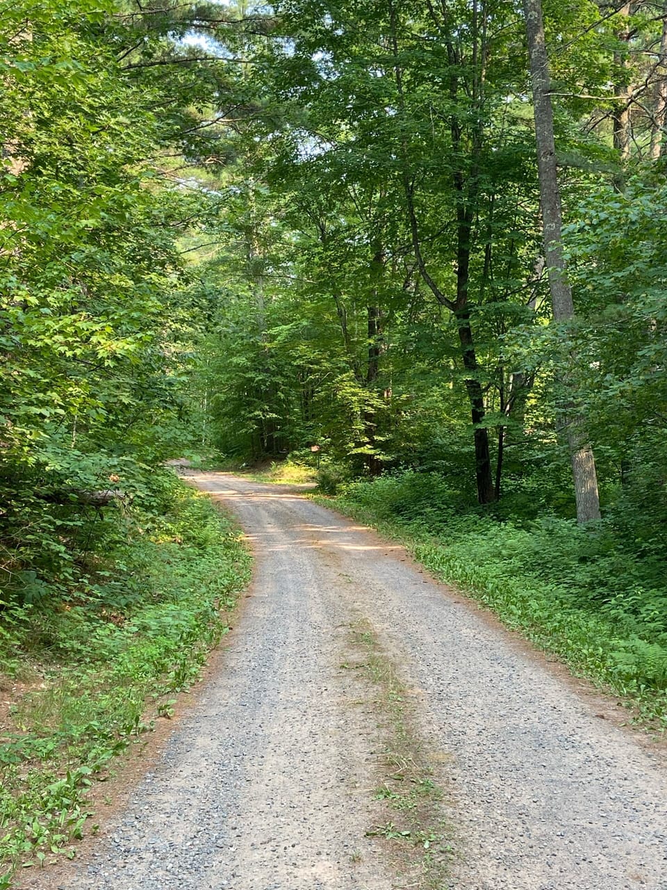 A glance down our private road.