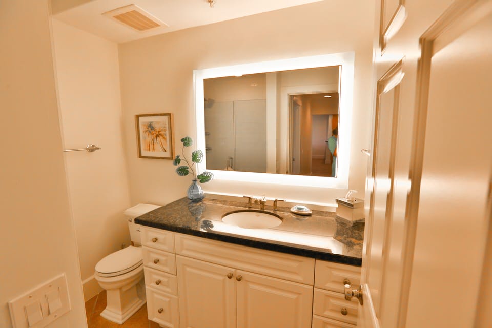 Guest Bathroom with Kohler faucets. 