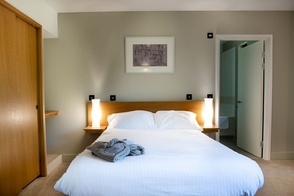 Business Double Room | Desk, iron/ironing board, free WiFi, bed sheets