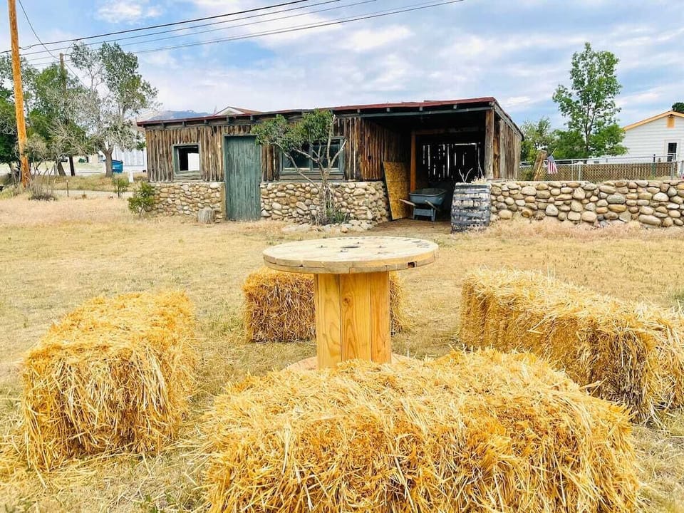 Backyard with Historic Shed