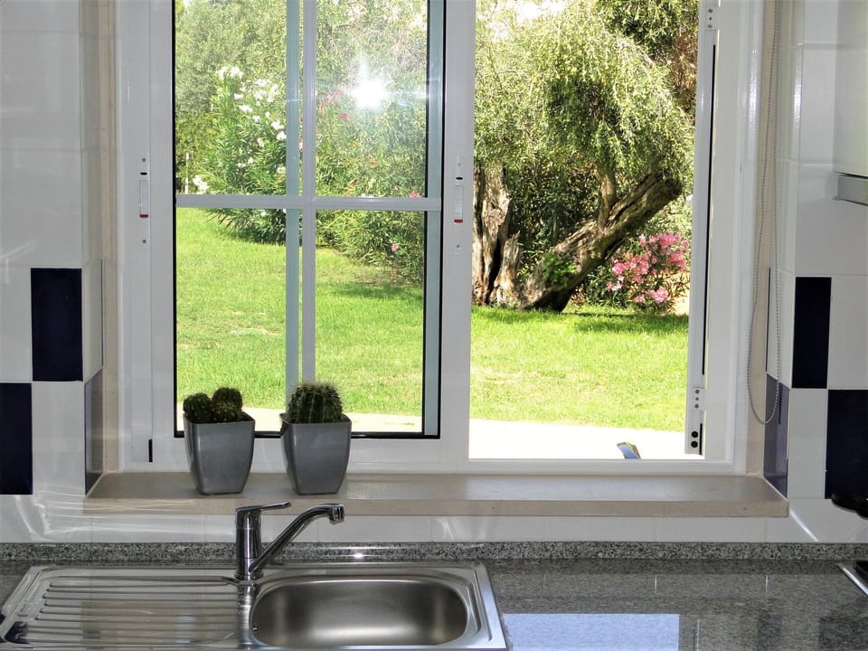 Kitchen window with a view.