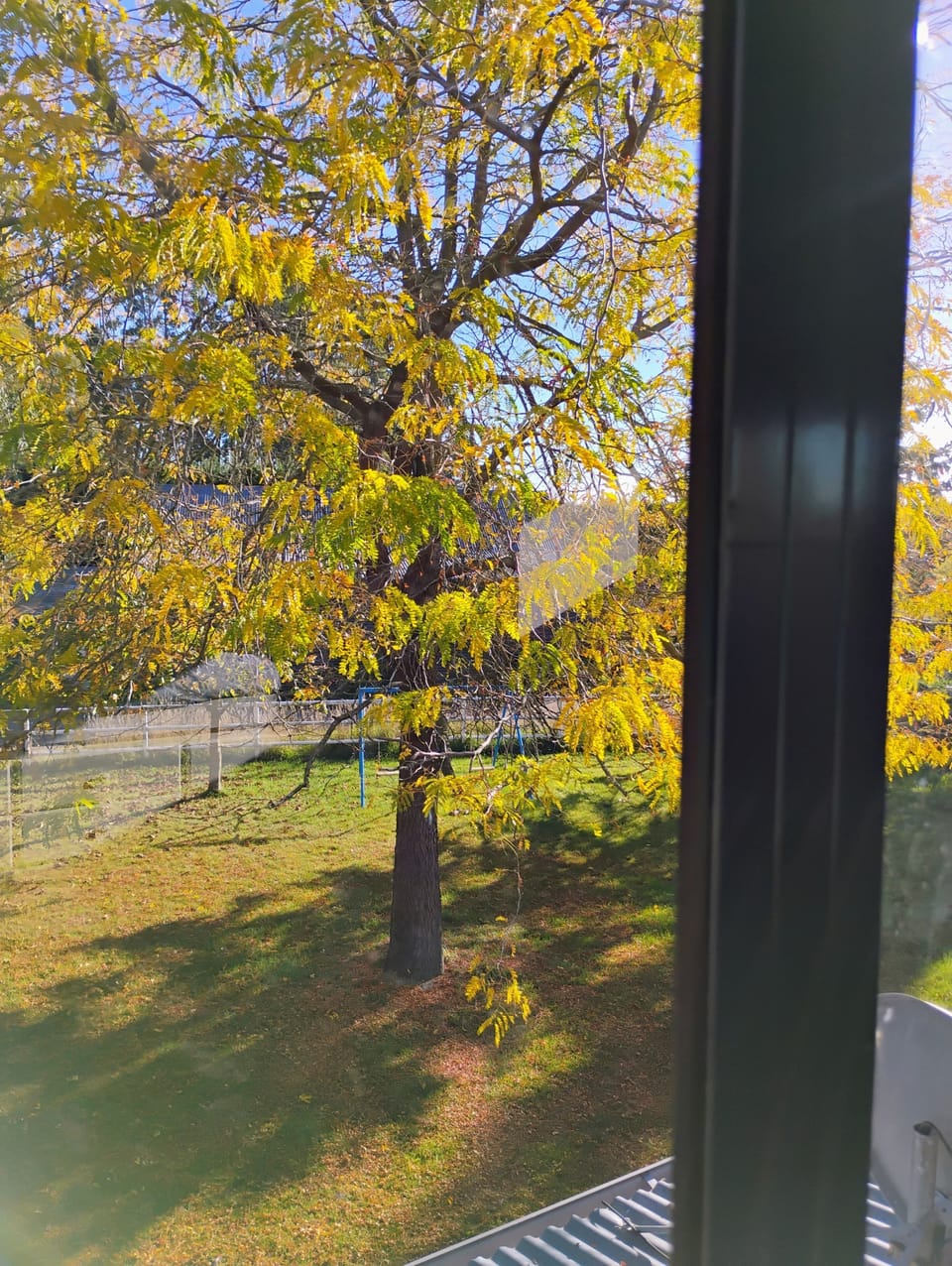 View from upstairs