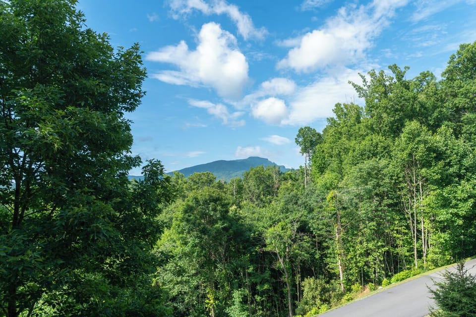 Grandfather Mountain View
