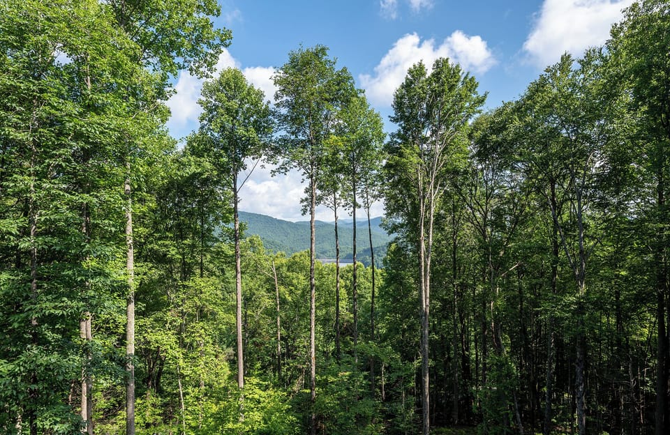 view of the lake from the cabin