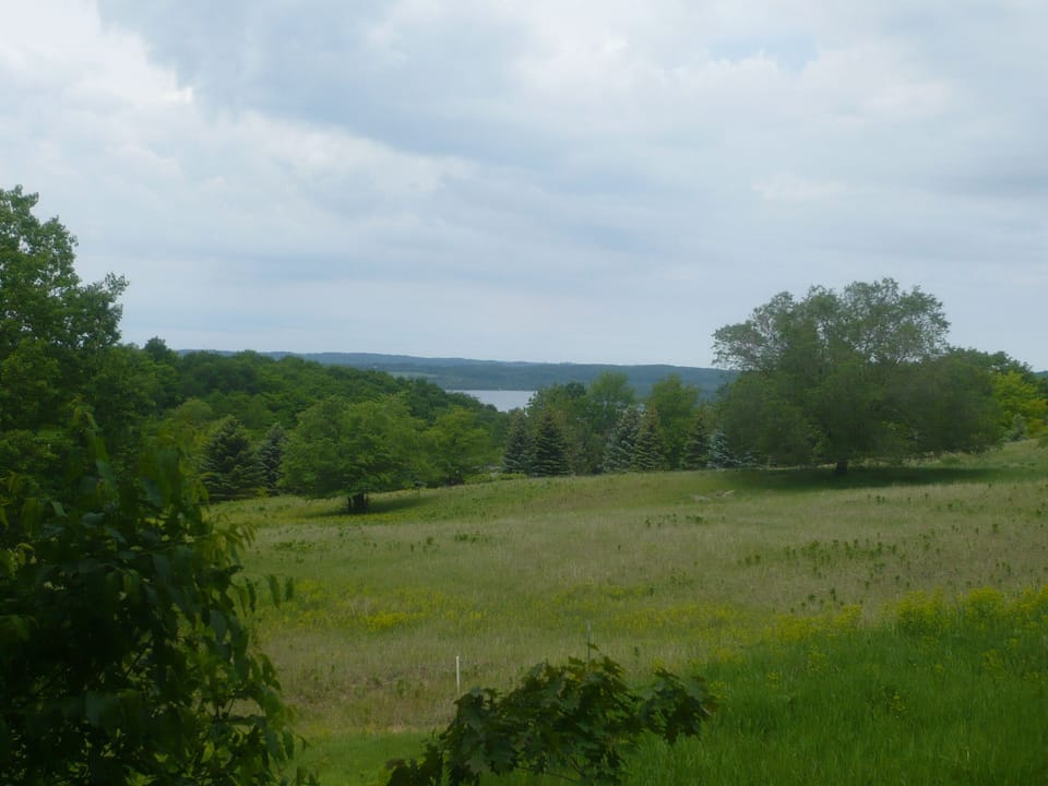 close up of Lake Bellaire from patio/balcony