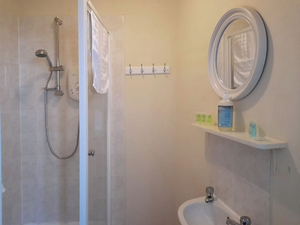 Triple Room | Bathroom | Shower, hair dryer, towels, toilet paper