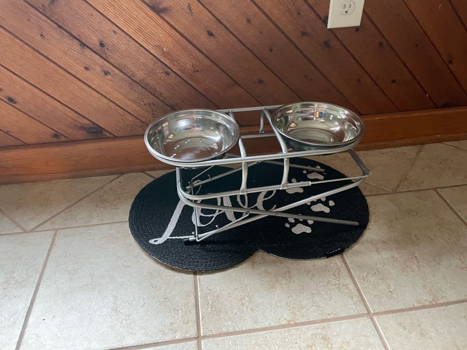 Adjustable dog bowl