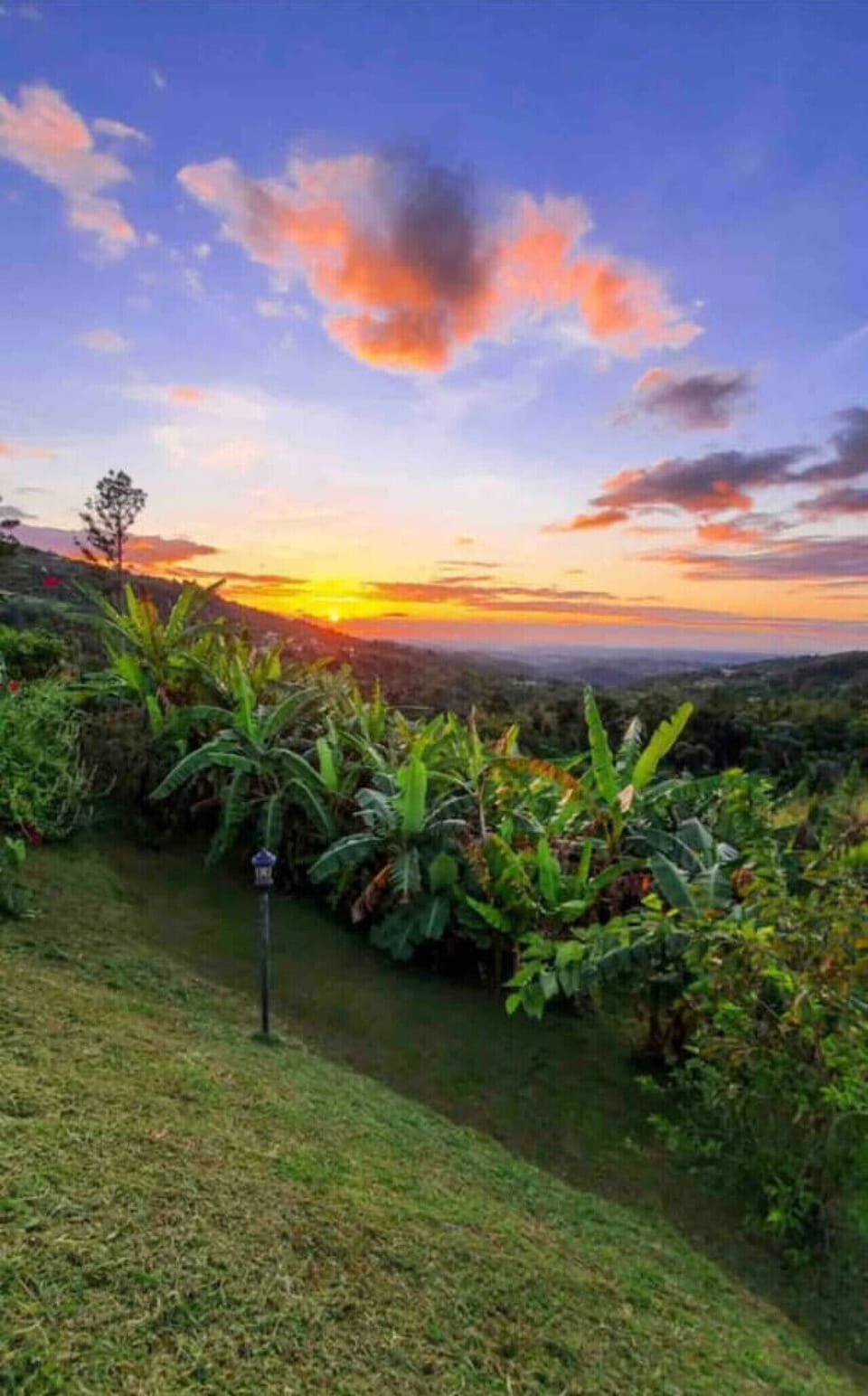 Typical Evening Sunset Deck View