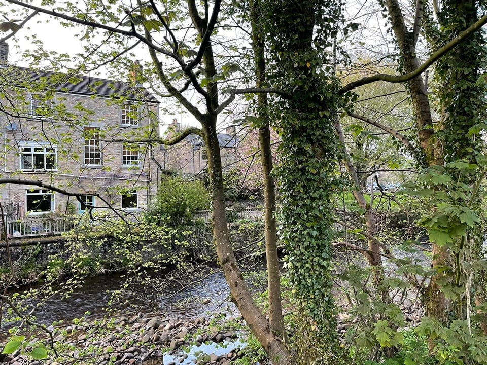 The Riverside Tailor’s Cottage from the wooded far bank of the Roeburn 