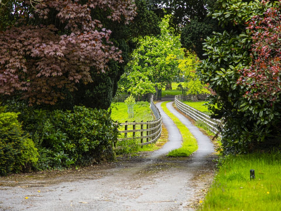 Entrance Driveway to Plas Cilybebyll Manor House