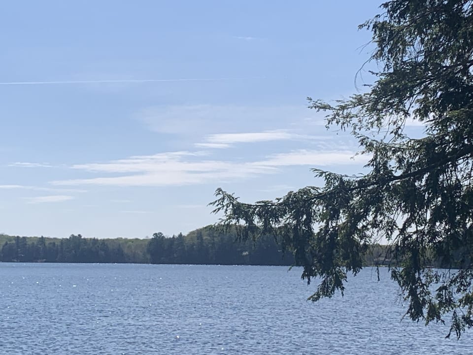 View from the dock