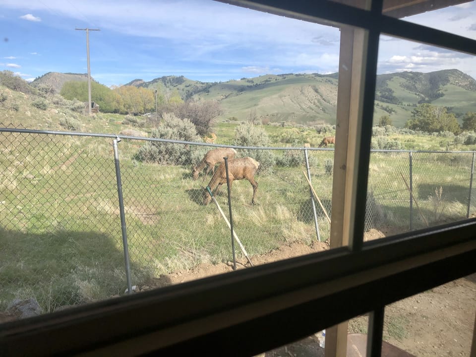 View from property