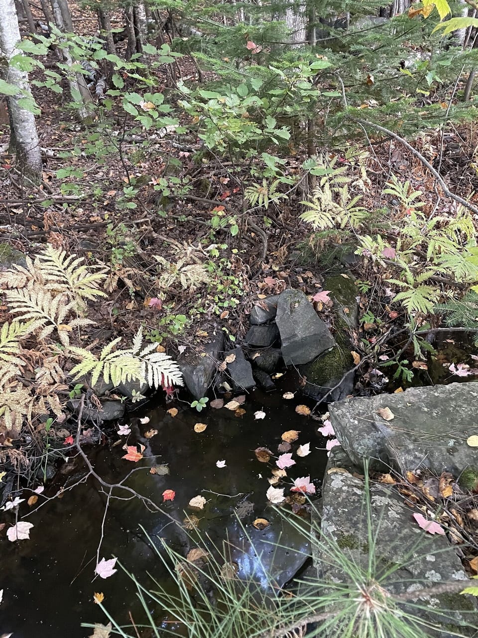 Brook in the back of the cabins that you can hear while sleeping.