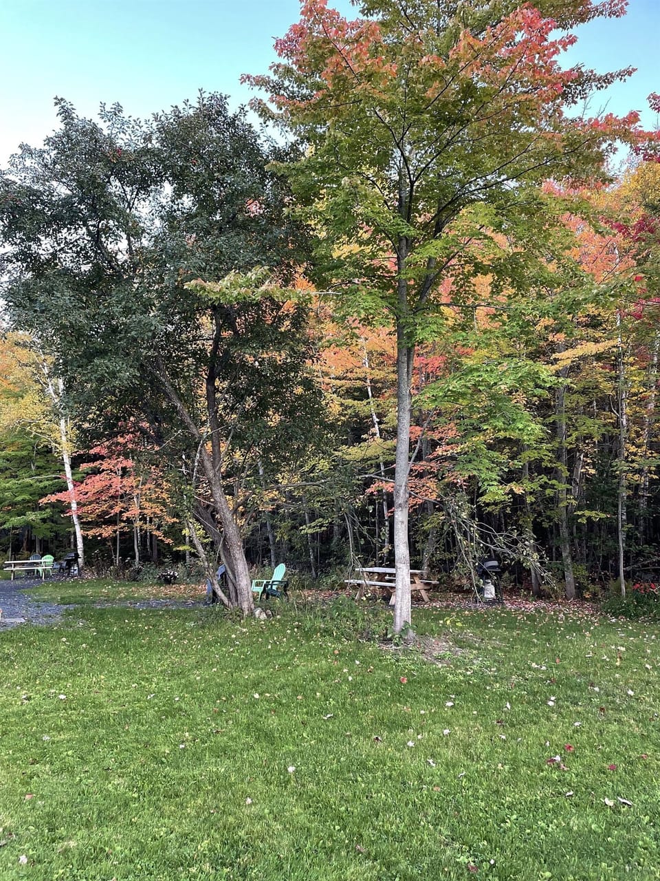 Fire pit,  grill, and plenty pf space to sit and relax by the brook in the back.